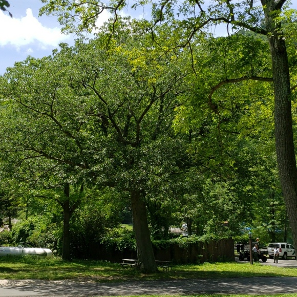 Meet your Posher, Natalie - Picture 1 of 1